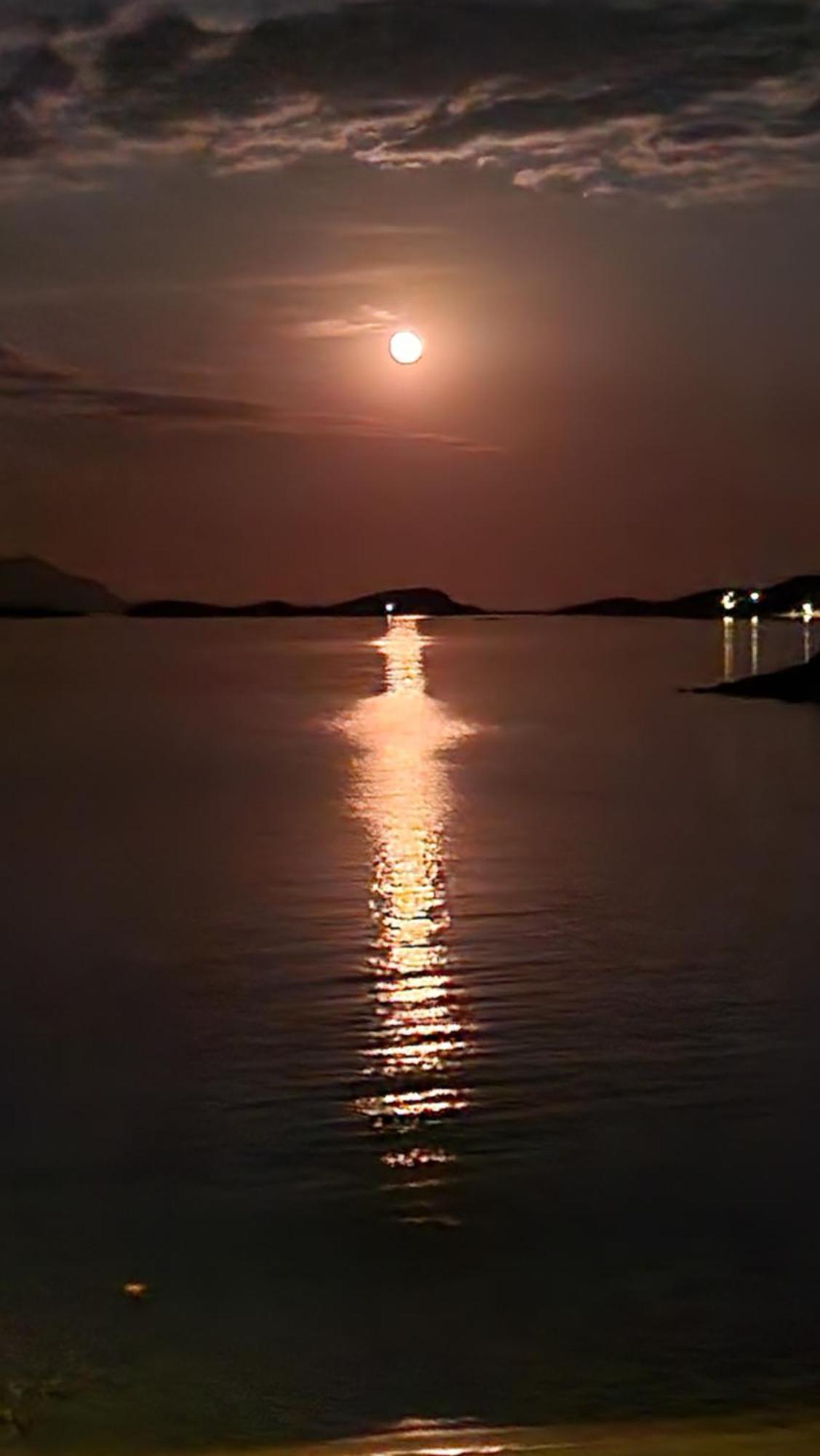 Gianni'S Apartment By The Sea อาโมเลียนี ภายนอก รูปภาพ